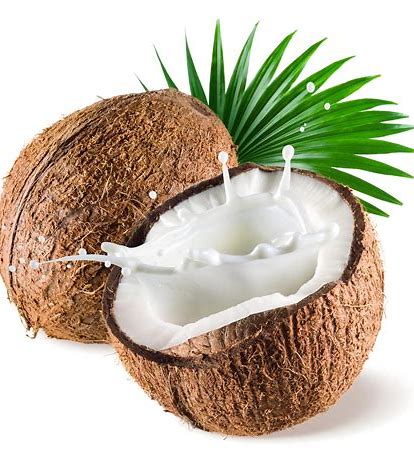 Dolly's Luxurious Lather Bar-Coconut Turtle Haze